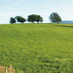 windbuchen