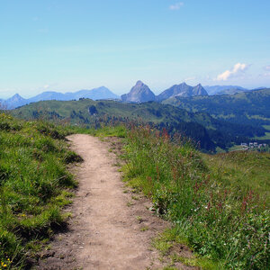 schweizer-bergweg