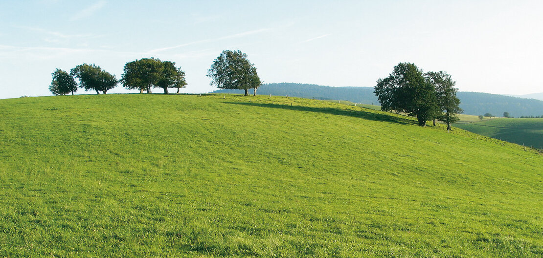 windbuchen