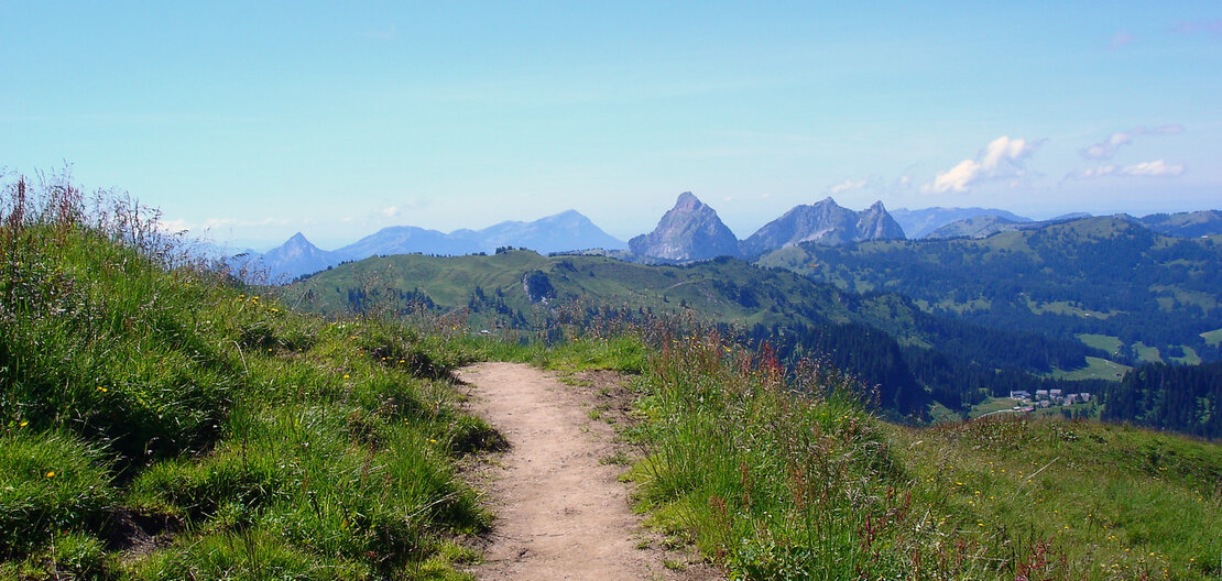 schweizer-bergweg